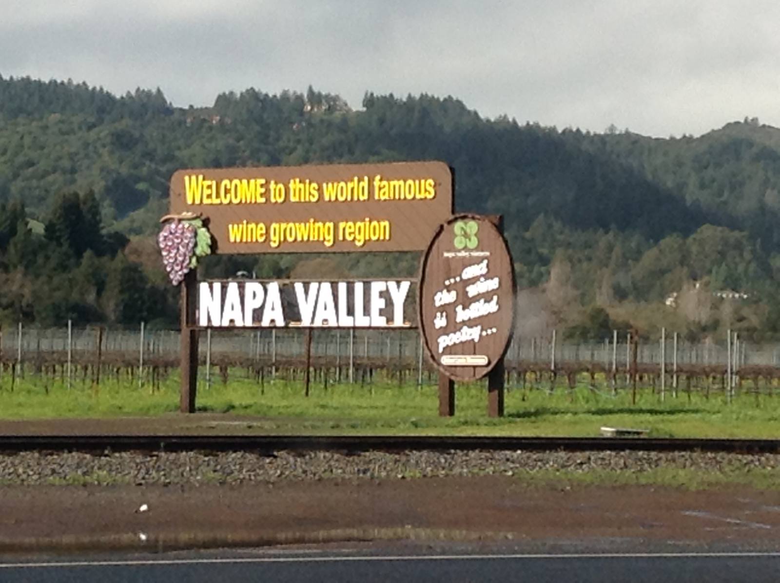 Only two other Napa vintages, 2014 and 2015, had ever begun in July.