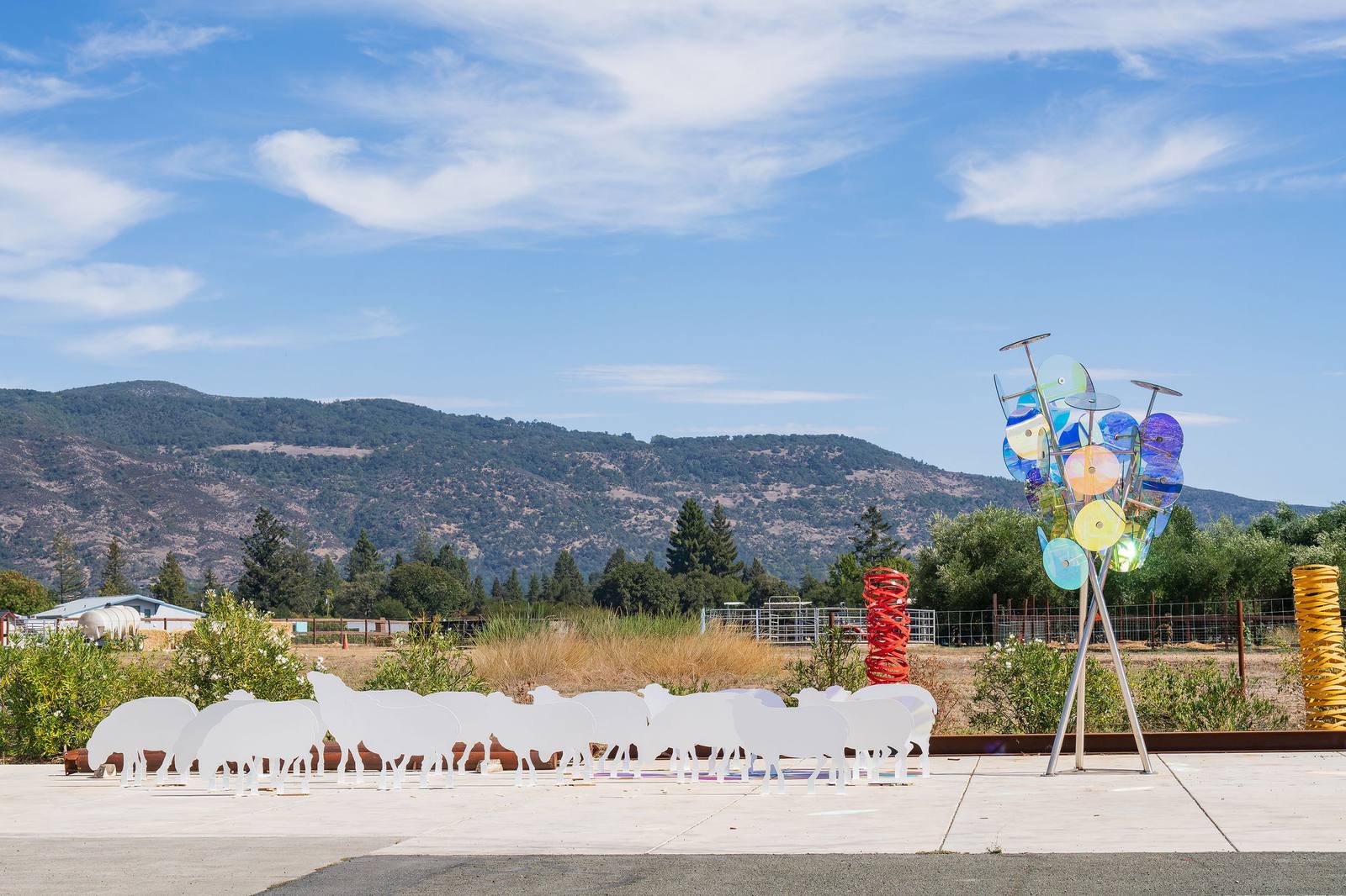 The flock of 22 restored sheep sculptures awaits final touches at Gordon Huether’s Napa studio. The flock returns to the front pasture at di Rosa in Carneros for the Oct. 25 celebration.