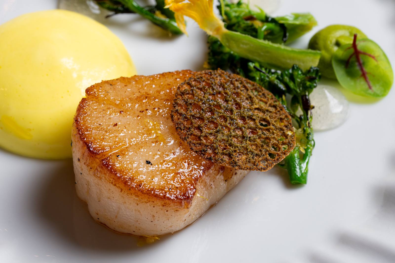 A seared scallop course at Auro, the Michelin-starred restaurant at Four Seasons Resort and Residences Napa Valley in Calistoga.
