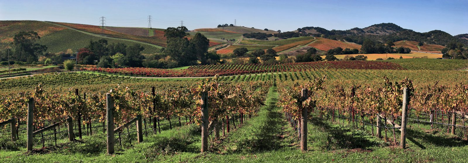 Heat Advisory Extended Through Friday Evening as Napa Valley Hot Spell Grinds On