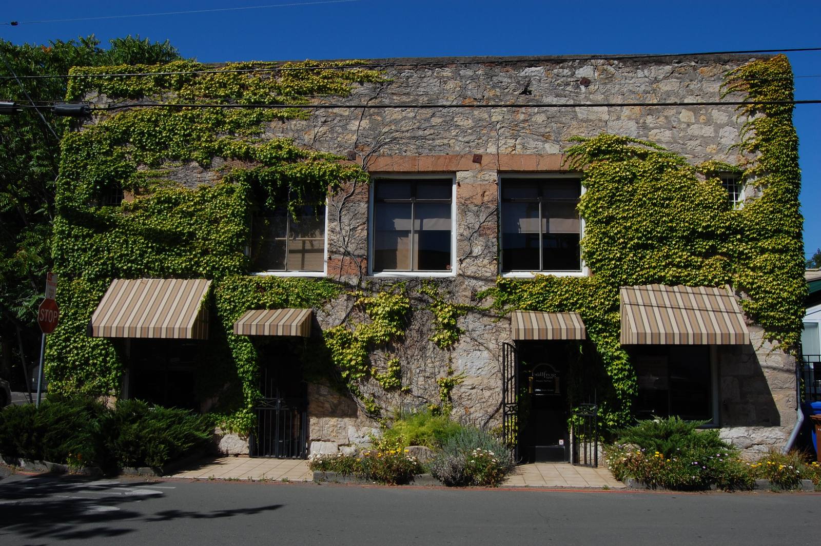An ivy-covered stone building on Main Street in St. Helena. Dempsey works from the Vanguard Properties office at 1345 Railroad Avenue in St. Helena.