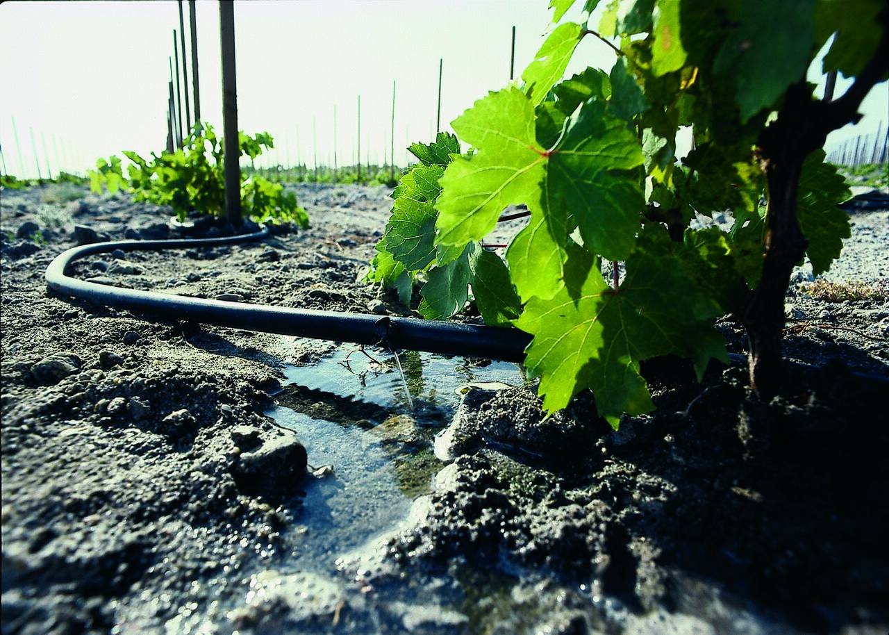 A California farm under irrigation; Napa County will cover $750,000 of first-year costs from reserves.