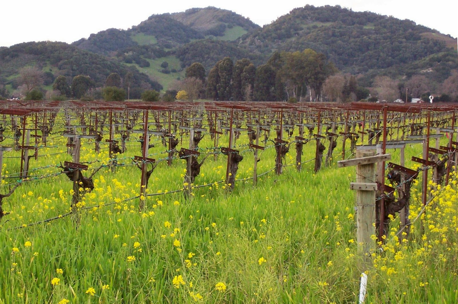 Napa County sets first groundwater sustainability fees