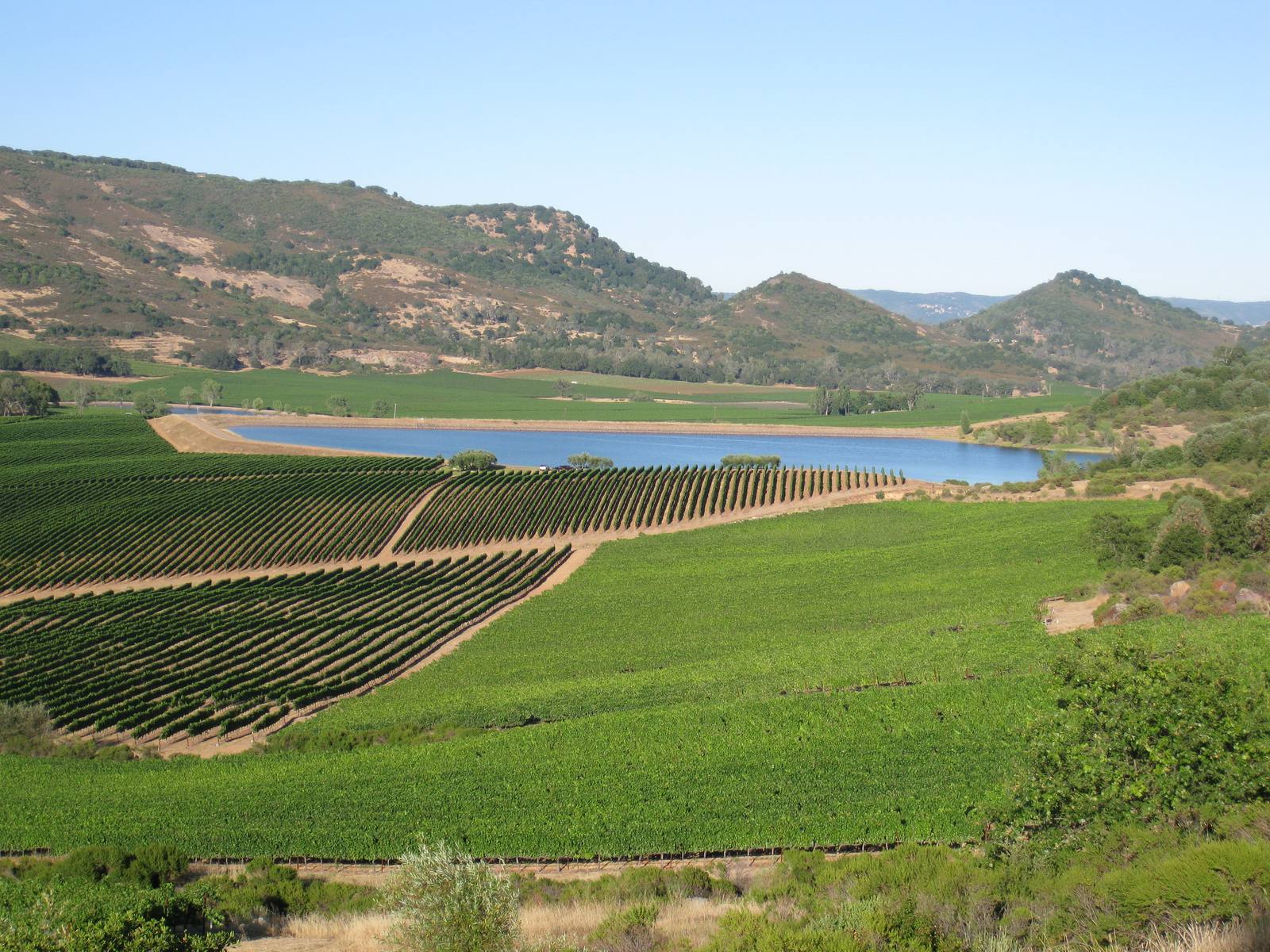 Vineyards and an irrigation reservoir in the Atlas Peak area of Napa Valley. Napa County’s groundwater sustainability fee for 2026-27 totals $44.44 a planted acre for growers who irrigate with groundwater.