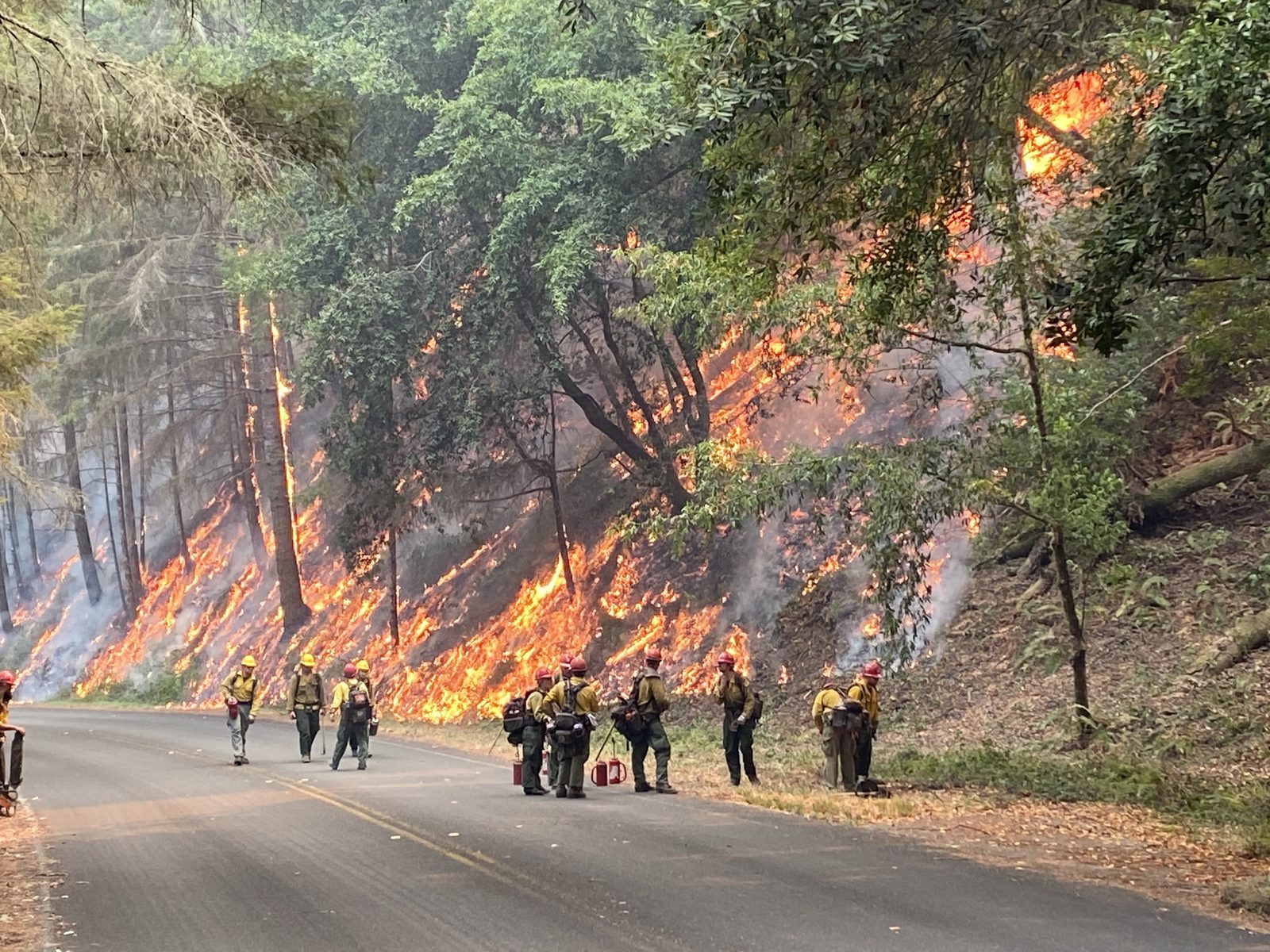 Napa Wildfire Study Finds Strong Prevention Work, but the Funding to Maintain It Is Fragmented