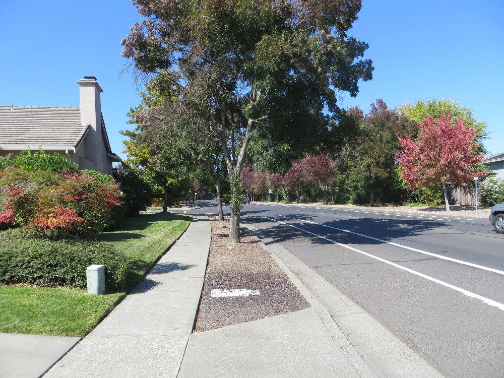 A Napa residential street. Most of the city's growth has come from agriculture and wine, but the neighborhoods read like small-town California.