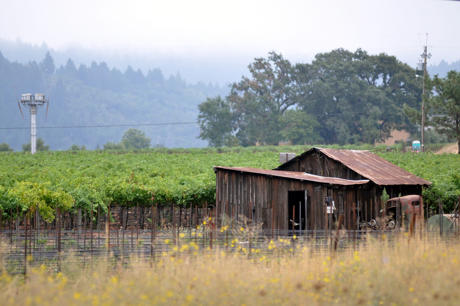 Newsom Signs AB 1890, Doubling State Farmworker Housing Funds for Napa County