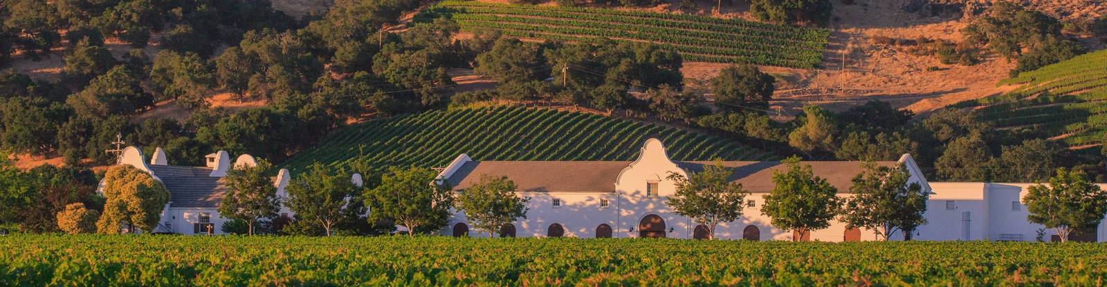 The white Cape Dutch buildings of Chimney Rock Winery rise above the Stags Leap District vines at golden hour.