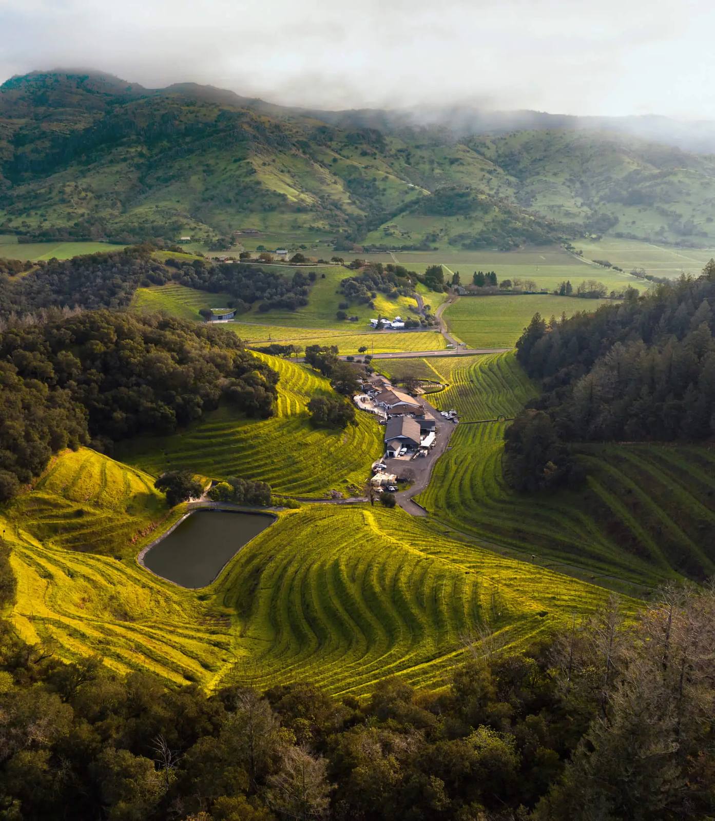 Pine Ridge Vineyards' estate folded into the Stags Leap District hills, seen from the air.