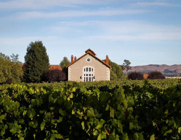 Etude's stone winery building stands behind Carneros vines.