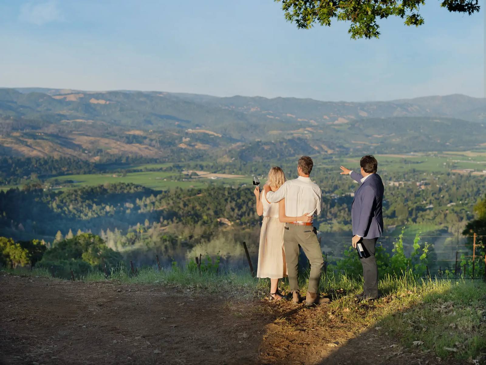 Panoramic views over Napa Valley from Spring Mountain Vineyard's mountain estate.
