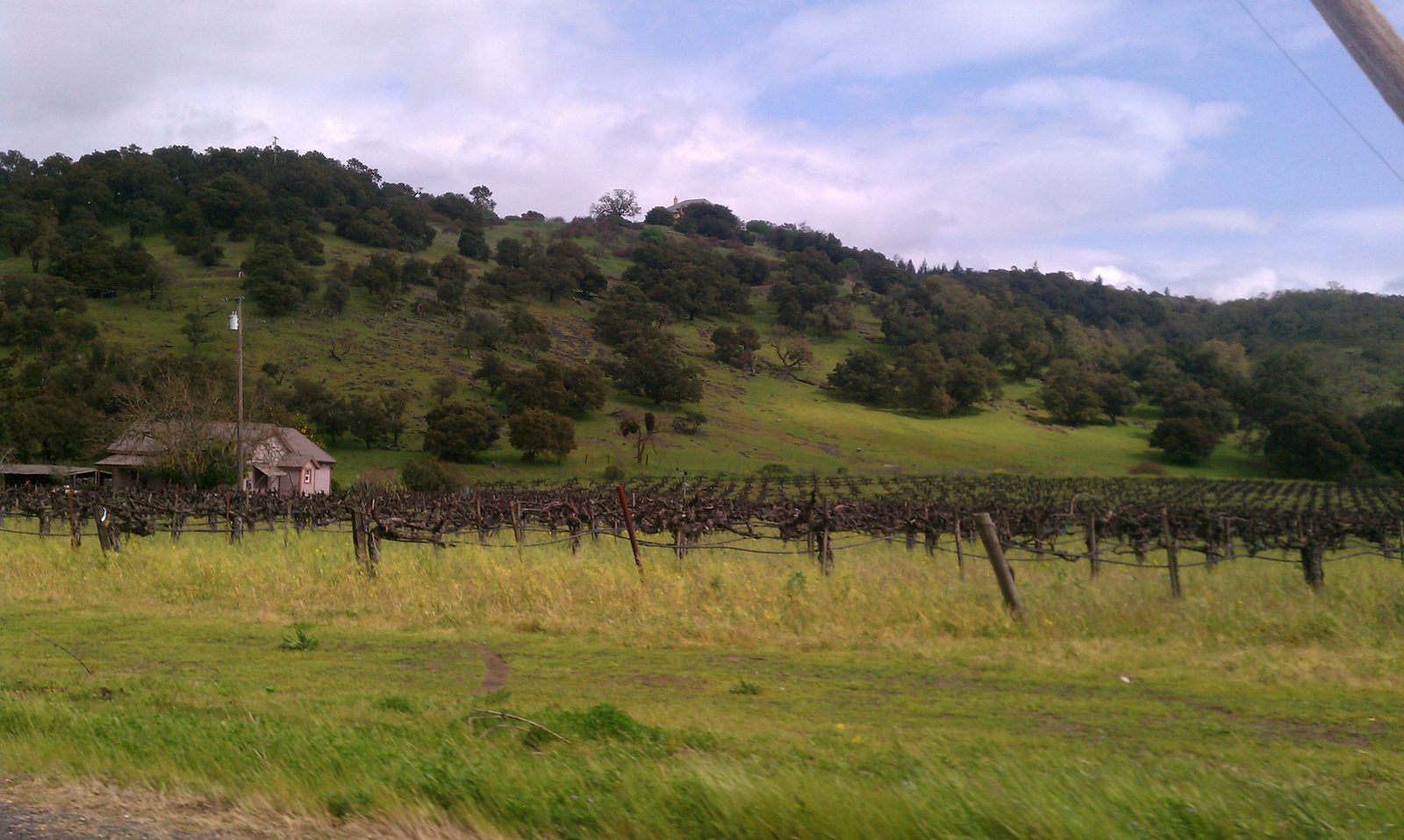 Napa Valley Vintners Pledges $1.2 Million to Afterschool and Summer Programs