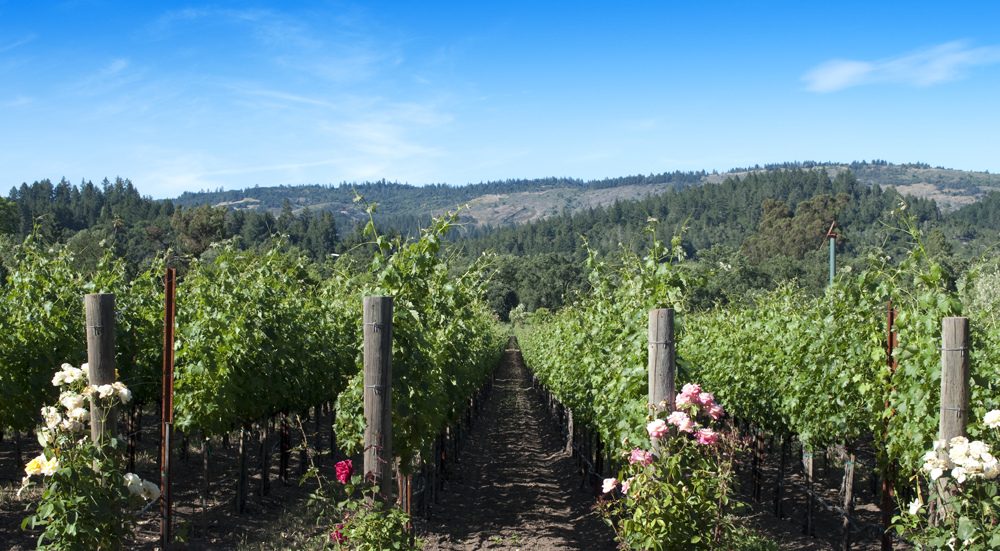 Heat Advisory Covers Napa Valley Through Monday Night as Rare October Hot Spell Lingers