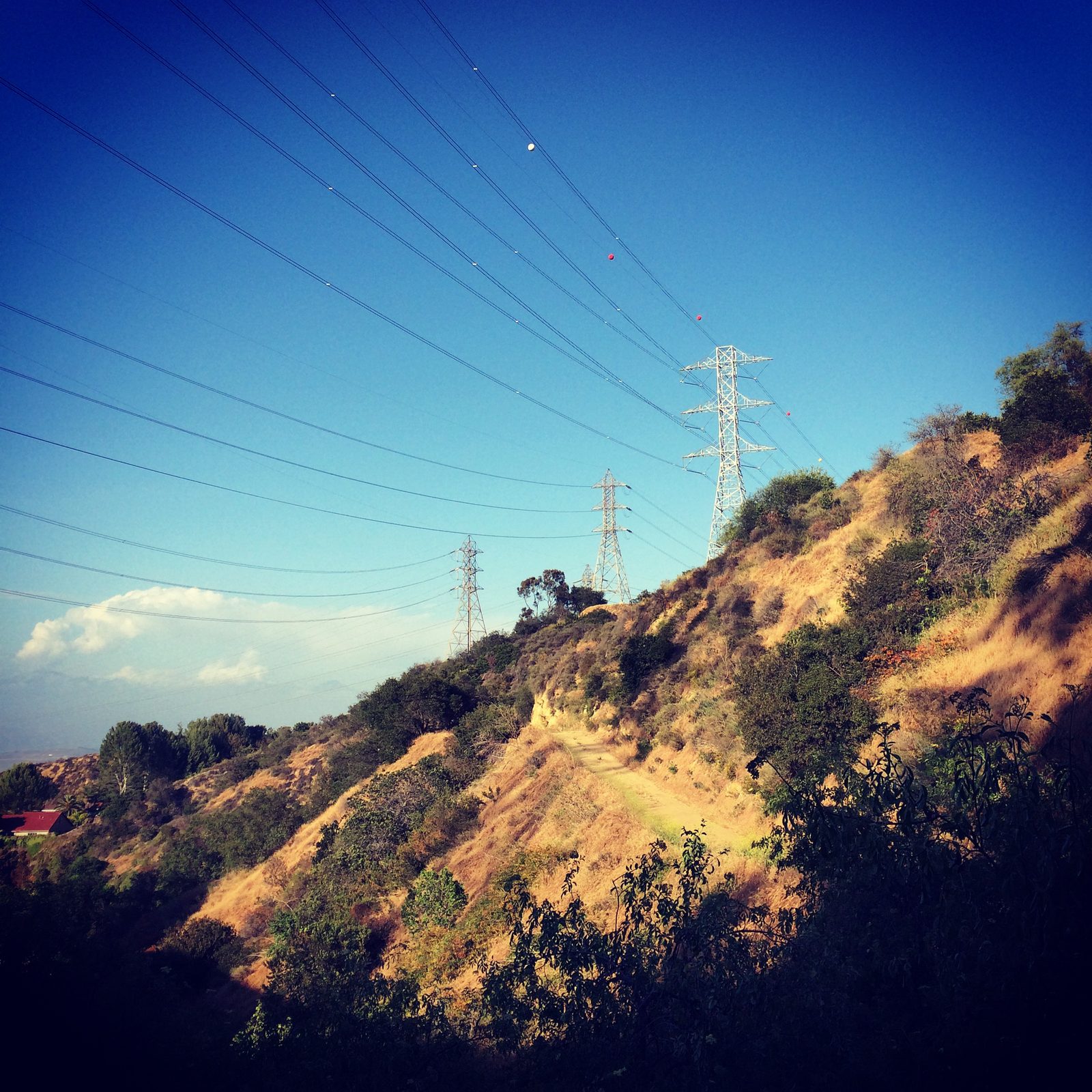 PG&E Warns 15 Napa Customers of Possible Weekend Power Shutoff as Wind Raises Fire Risk