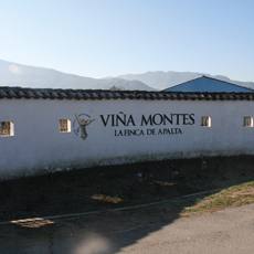 The entrance wall at Viña Montes, La Finca de Apalta, in Chile’s Colchagua Valley. The Apalta estate is the home vineyard behind the winery’s best known red wines, including the Montes Alpha line.