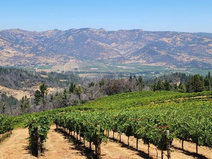 Smith-Madrone’s estate vines above the Napa Valley floor. The winery says its 1973 permit allows private, by-appointment tastings with no visitor cap.