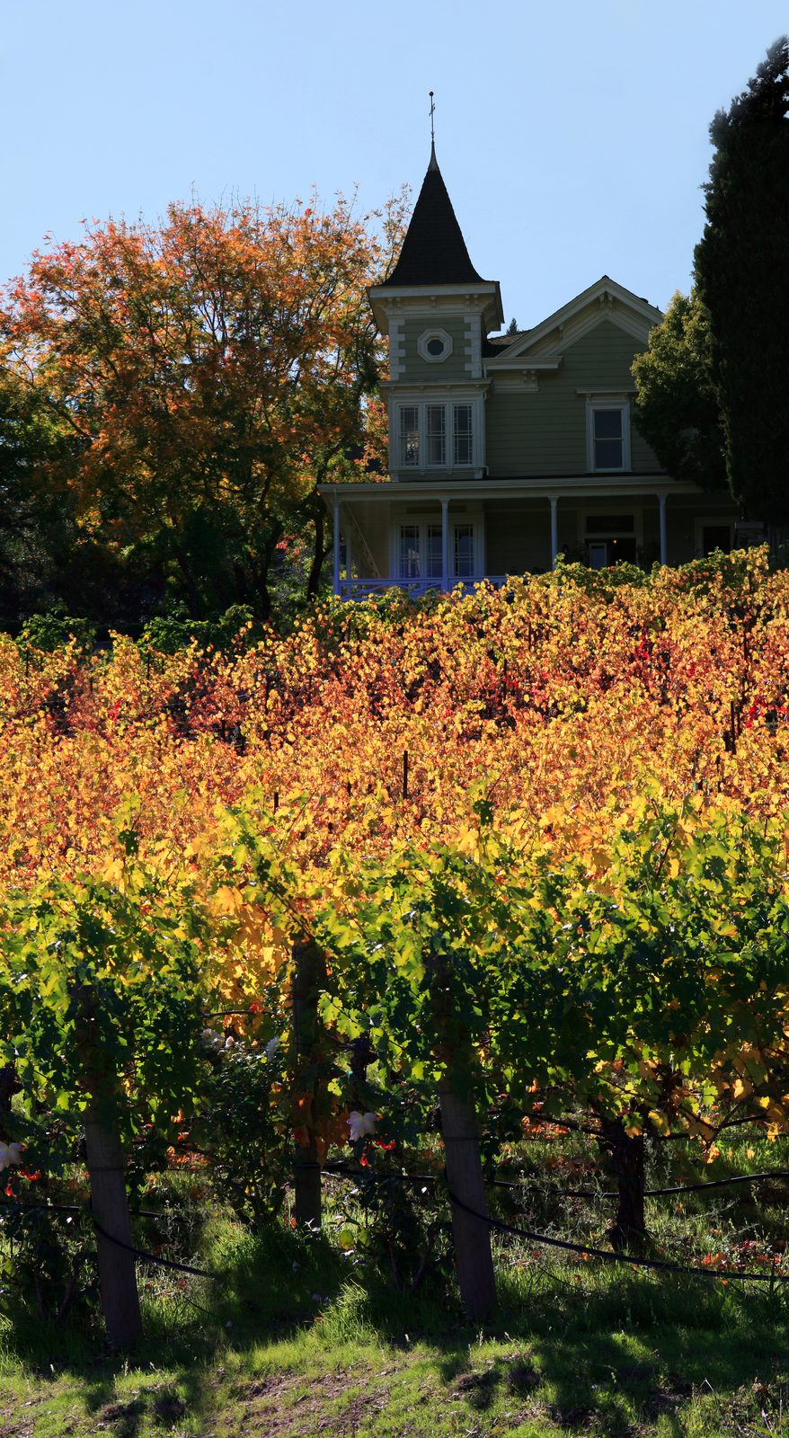 Napa Valley Tourism Generated $2.8 Billion in 2025, Visit Napa Valley Reports