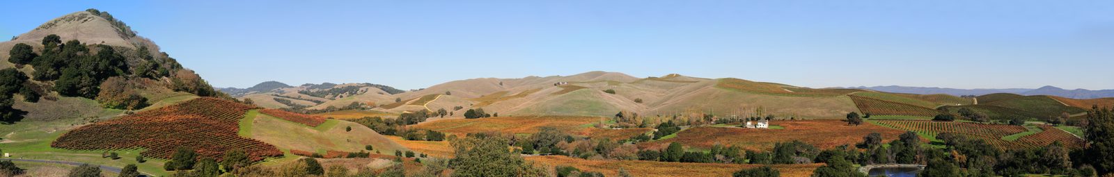 Napa Valley Tourism Generated $2.8 Billion in 2025, Visit Napa Valley Reports